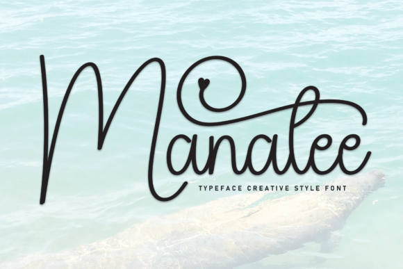 Building a Beautiful Online Brand with Manatee Font
