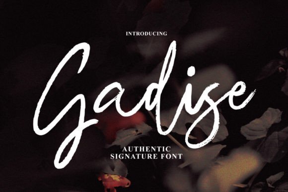 Gadise: A Font for Crafters Who Value Beauty and Function