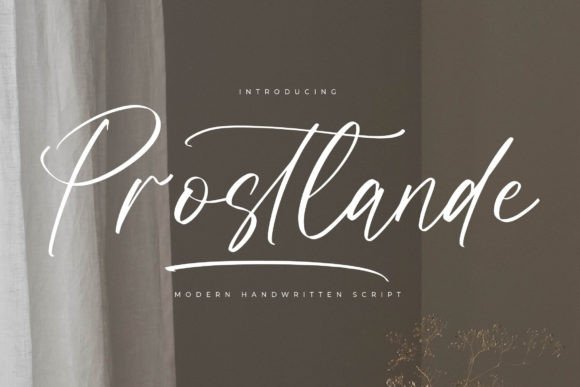 My Small Business Branding Upgrade with Prostlande Font